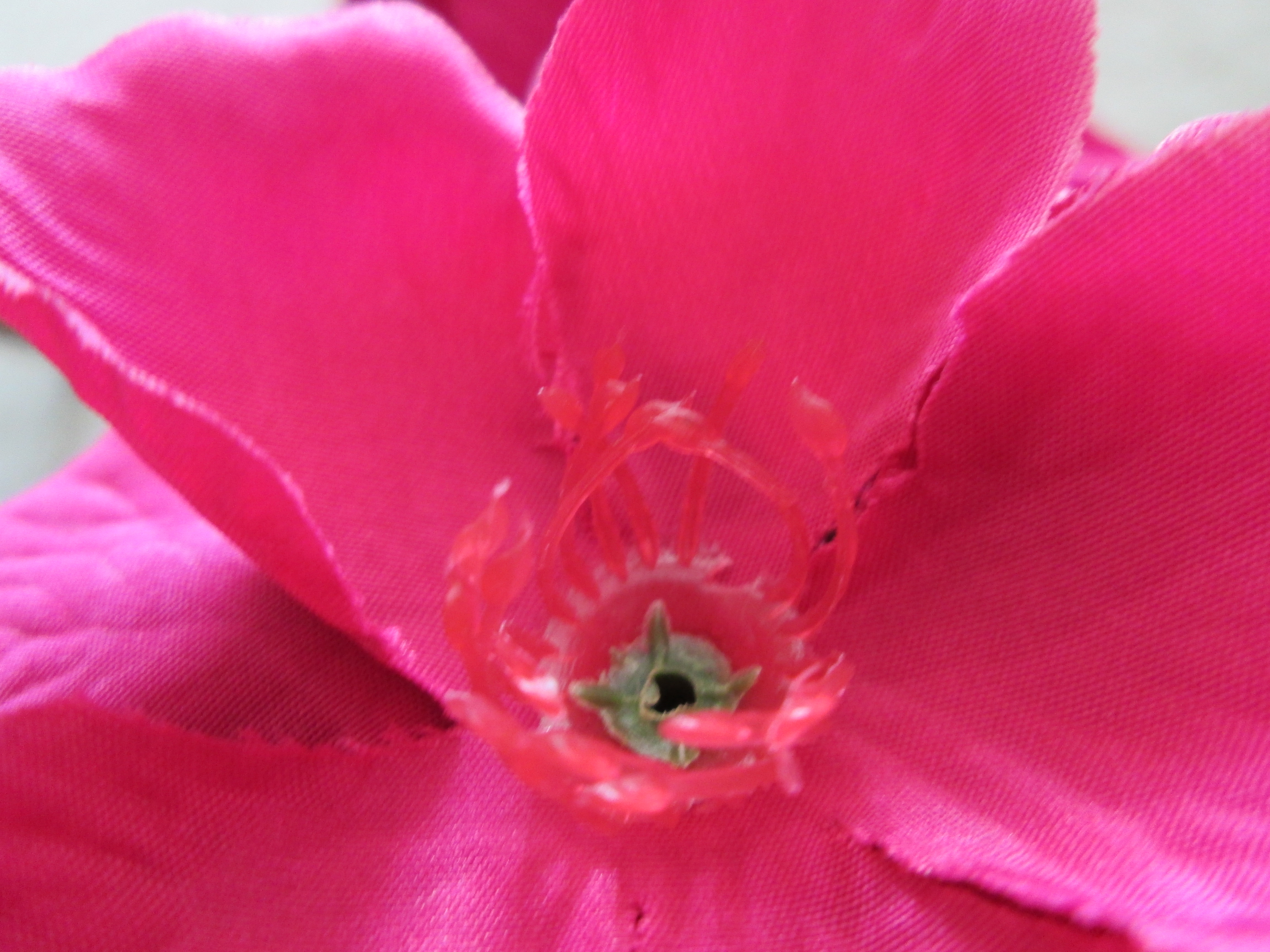 romeoandjulietbaconrosesap7106 Alison's Wonderland Recipes