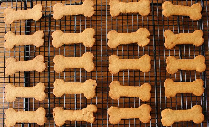 Scooby Snacks: Caramelized Honey Graham Crackers - Alison's Wonderland Recipes