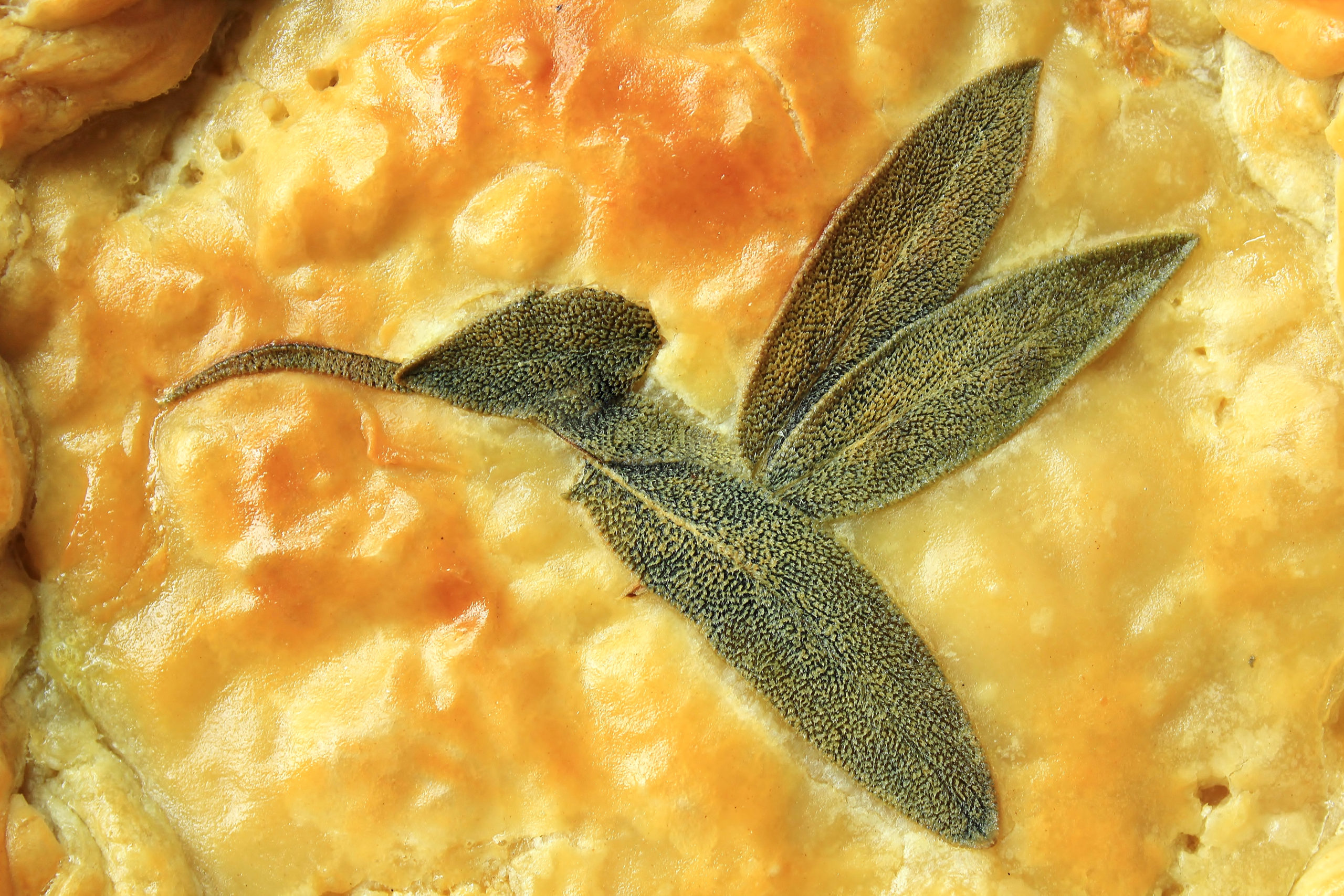 Pie Of Honeyed Hummingbirds Honeyed Cornish Hen Pot Pie Alison s Pie Of Honeyed Hummingbirds Honeyed Cornish Hen Pot Pie Alison s